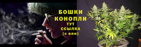 соль курить ск Новозыбков