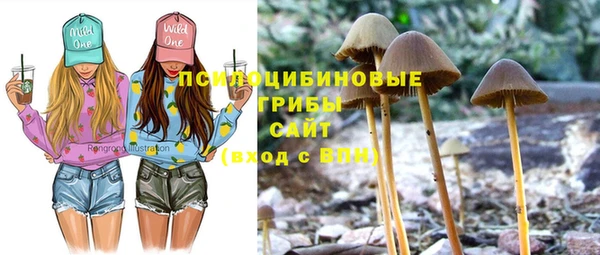 spice Нефтекумск