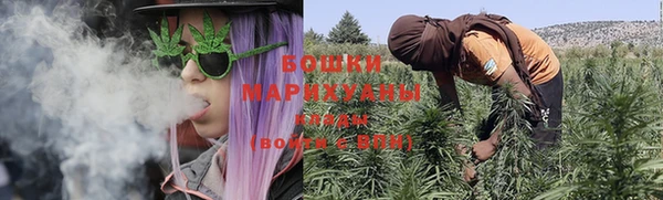 спиды Новодвинск