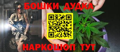 индика Балашиха