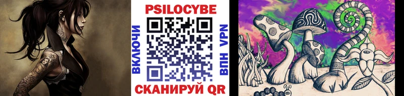 купить  сайты  Мурманск  Псилоцибиновые грибы ЛСД 