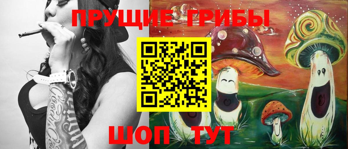 Псилоцибиновые грибы ЛСД  Мурманск  Галлюциногенные грибы Psilocybe 