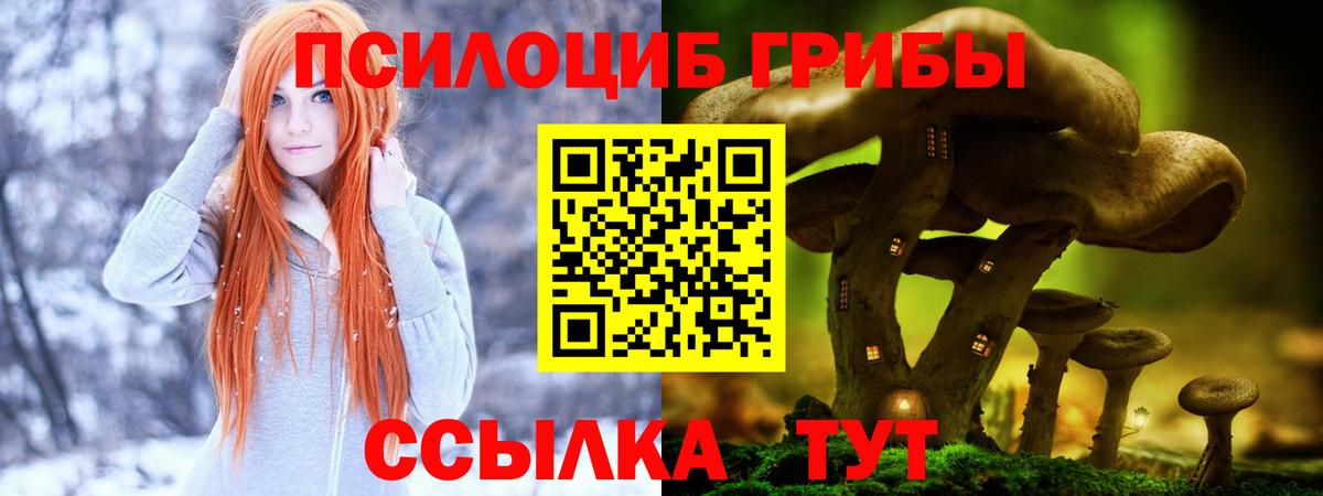 Псилоцибиновые грибы мухоморы Мурманск