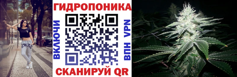ОМГ ОМГ ссылки  купить наркотик  Мурманск  Каннабис план 